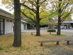 conv0013