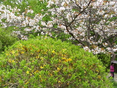 conv0021