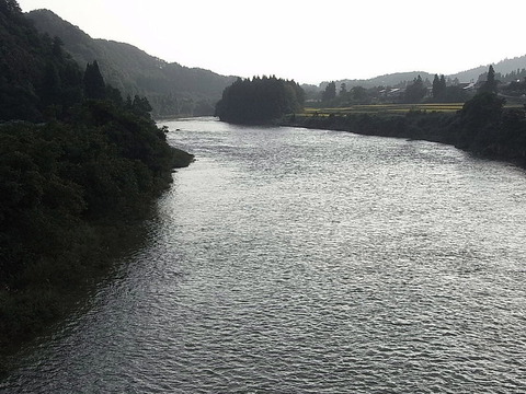 conv0006