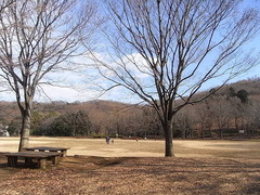 conv0004