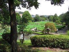 conv0002