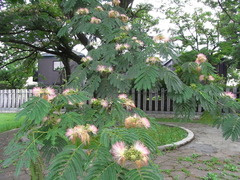 conv0009