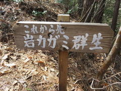 conv0021