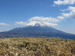 conv0055