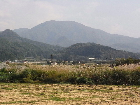 conv0002