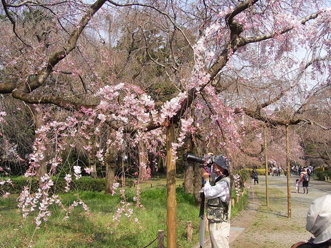 conv0015
