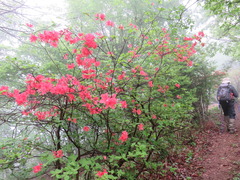 IMG_1931 - ¥³¥Ô¡¼