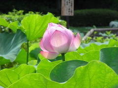 conv0014
