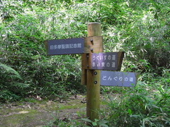 conv0007