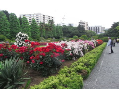 RIMG0155