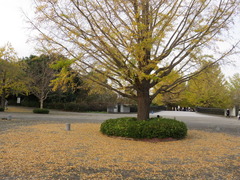conv0012