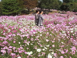 conv0005