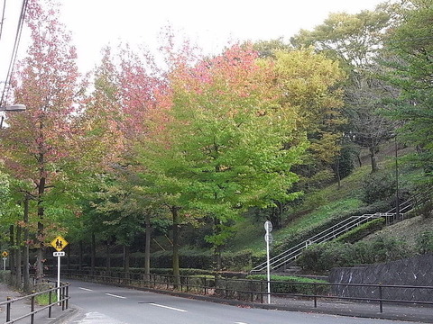 conv0003
