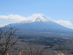 conv0049