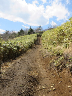 conv0016