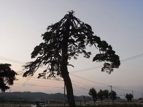 conv0008
