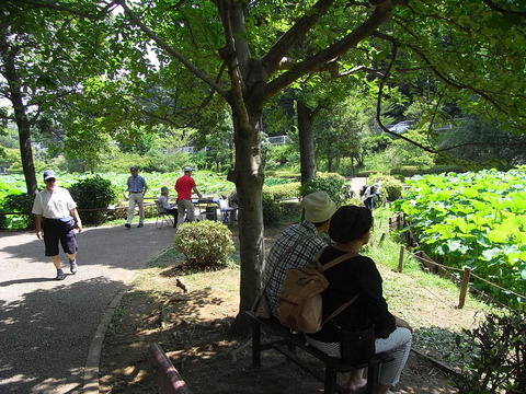 conv0014