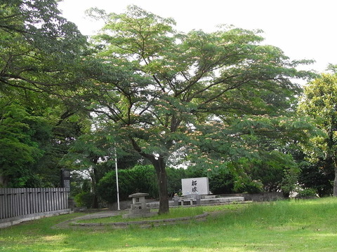 conv0004