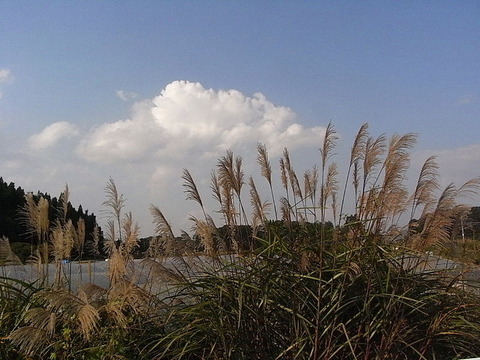 conv0001