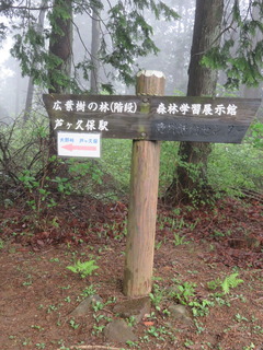 IMG_1939 - ¥³¥Ô¡¼