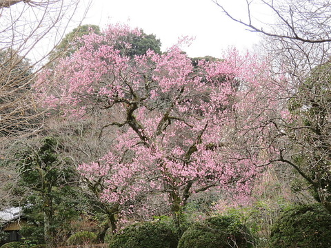 conv0023