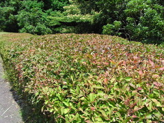 conv0020