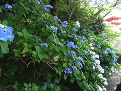 conv0016