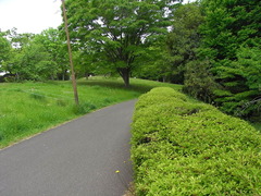 RIMG0068
