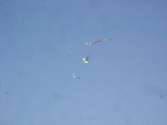 conv0008