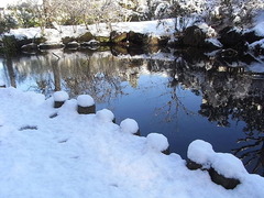 conv0002