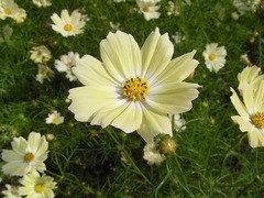conv0001