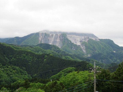 IMG_1883 - ¥³¥Ô¡¼