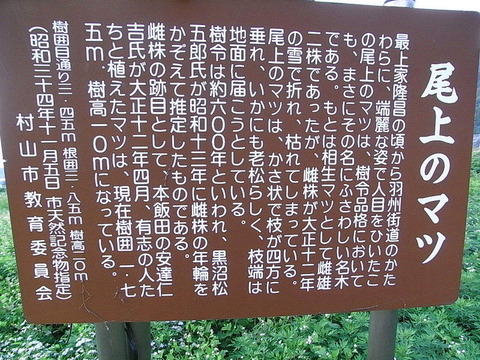 conv0009