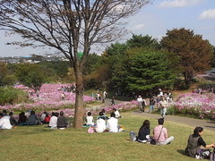 conv0004