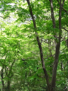 conv0012