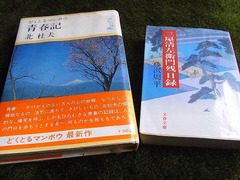 conv0003