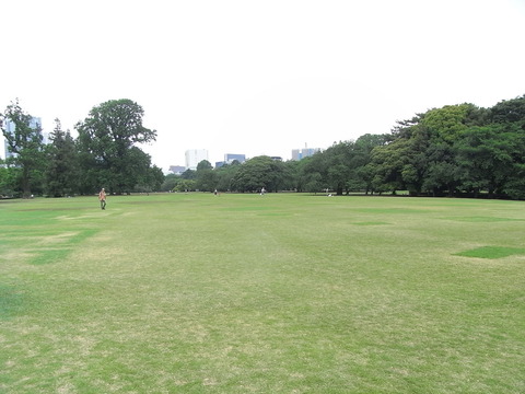 RIMG0183