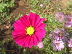 conv0012