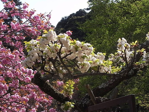 conv0022