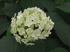 RIMG0129