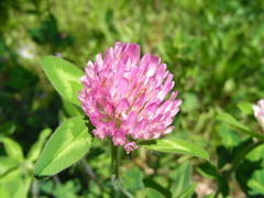 RIMG0086