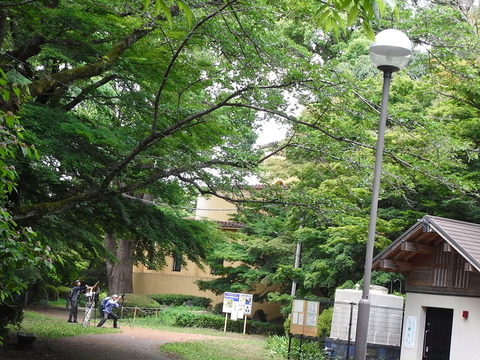 conv0008