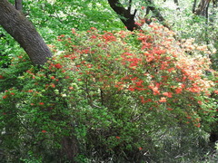 conv0008