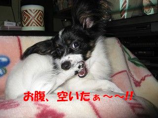 onak