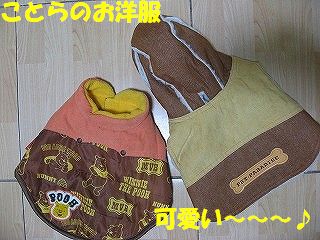 fuku