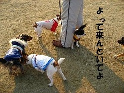 1208