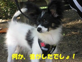 oto