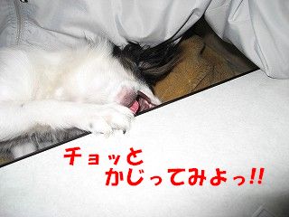 kajiru
