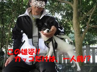 yuusi