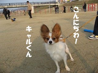 kyaru